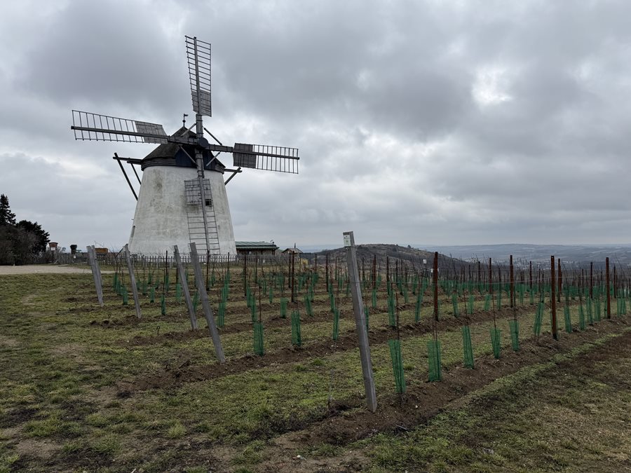 Rakouské město Retz: Tam, kde se točí lopatky historie a dozrává to nejlepší víno